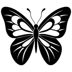 Wall Mural - elegant butterfly vector silhouette illustration