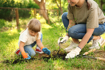 Wall Mural - Mother and her daughter planting tree together in garden