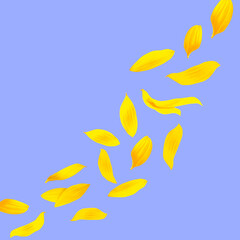 Sticker - Sunflower petals in air on light blue background