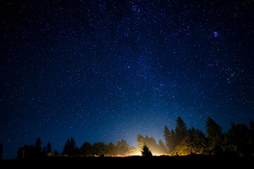 Wall Mural - Countless twinkling stars in night sky over forest