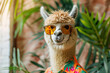 © Nedrofly - A llama wearing sunglasses and a shirt, showcasing a fun and quirky style