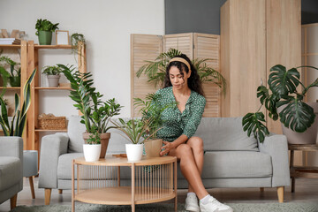 Wall Mural - Beautiful young African-American woman taking care of her plants in living room