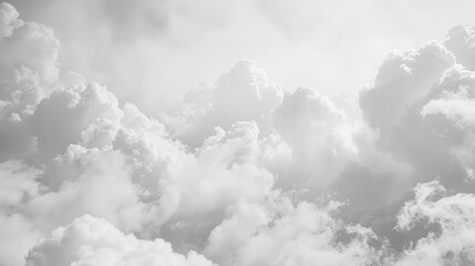 A sky covered with thick, white clouds, suggesting an overcast day and creating a soft background