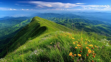 Wall Mural - A lush, green mountain summit with vibrant wildflowers and a clear, blue sky above, offering a view of endless rolling hills 32k, full ultra hd, high resolution
