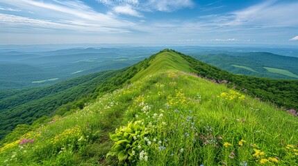 Wall Mural - A lush, green mountain summit with vibrant wildflowers and a clear, blue sky above, offering a view of endless rolling hills 32k, full ultra hd, high resolution