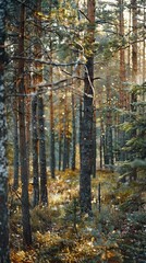 realistic photography of coniferous forest. abstract background of a northern forest