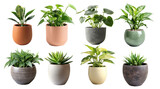 set of green plant potted in flower pot cutout
