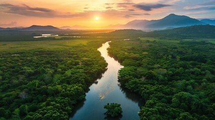 Poster - Beautiful natural scenery of river in tropical green forest with mountains in background at sunset, aerial view