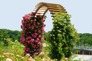 Wall Mural - arch of flowers