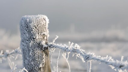 Wall Mural - a fence post enveloped in a layer of white hoar frost highlighting the frigid temperatures.