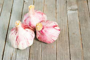 Canvas Print - Garlic bulbs