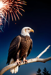 Wall Mural - a bald eagle sitting on a branch with fireworks in the background