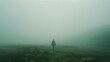 © liliyabatyrova - A person is walking through a foggy field