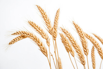 Wall Mural - Wheat Ears On A White Background