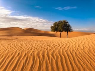 Wall Mural - Desert landscape with sparse trees, and beautiful scenery.