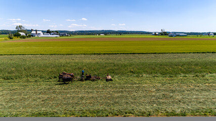 Group of horses pulling a horse-drawn carriage in a vast green rural field