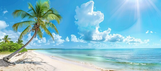 Poster - A beautiful beach with a palm tree in the foreground and a clear blue sky