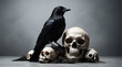 © Prateek - A black crow sitting on a white skull with copy space and dark environment, gothic concept, black magic