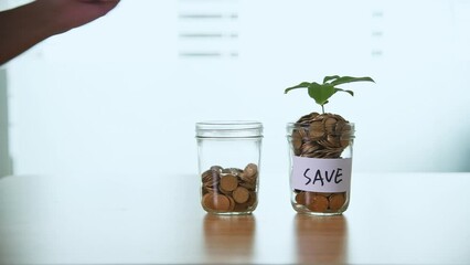 Wall Mural - Hand putting coins in glass jar and green plant