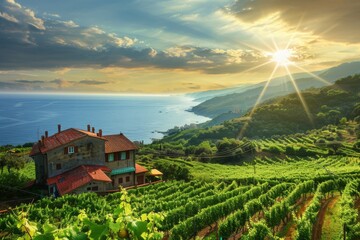 Wall Mural - A house in vineyard with sunlight peeking through the clouds