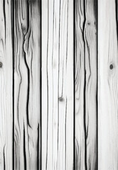 Black and white wood texture background. wood pattern on white background, wooden textured, wood overlay, Grunge background. Wood planks wall in black and white. Gray, Grunge Texture. 