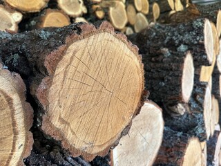 Wall of firewood, background of dry chopped firewood. Background texture - stacked firewood prepared for winter. Round timber in a stack, blanks from chopped tree trunks.