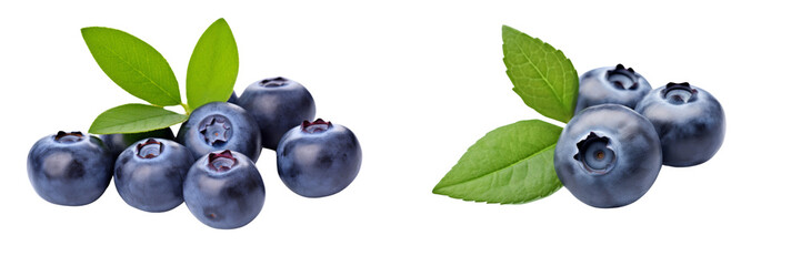 Wall Mural - Collection of branch of delicious ripe blueberries isolated on white background