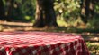 © vefimov - A red and white checkered tablecloth sits on a grassy field. The tablecloth is empty, but it is surrounded by trees and the sun is shining brightly. The scene is peaceful and serene