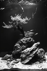 Wall Mural - A black and white photo of a tree with fish swimming around it. Scene is serene and peaceful, as the tree and fish seem to be in harmony with each other