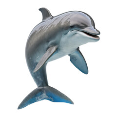 Wall Mural - dolphin on transparent background