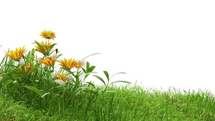 Poster - footage of grass with flowers animation with alpha, 3d illustration rendering