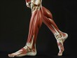 © Thak Pixel - The human anatomy of close-up leg