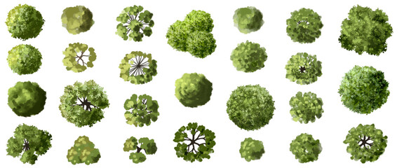 Wall Mural - vertor set of green tree,plants top view for landscape plan,schematic layout,eco environment concept