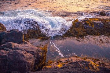 Canvas Print - Brier Island Coast