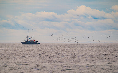 Wall Mural - Fisherman Flock