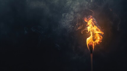 Wall Mural - Burning Match Flame