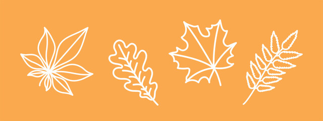 Wall Mural - set of autumn leaves, white outline oak, maple, chestnut, rowan leaf, set of fall decorative drawing clip-art, doodle vector elements on orange background