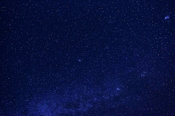 Wall Mural - Myriads of twinkling stars in celestial cosmos