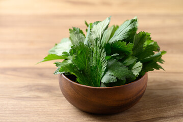 Wall Mural - White mugwort in bowl on wooden background, Organic Asian vegetables and herbal medicine