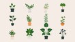 © 69 - Twelve unique plant icons showcasing a variety of greenery, from potted plants to garden shrubs, all with clean lines and vibrant colors on a white background
