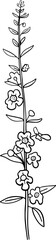 Sticker - Hand drawn angelonia flower