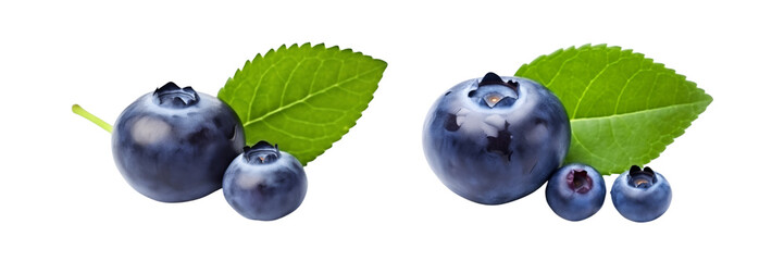 Wall Mural - Collection of branch of delicious ripe blueberries isolated on white background
