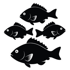 Set of Black Crappie animal vector on white background