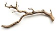 © XtzStudio - Dry twisted jungle branch isolated on white background