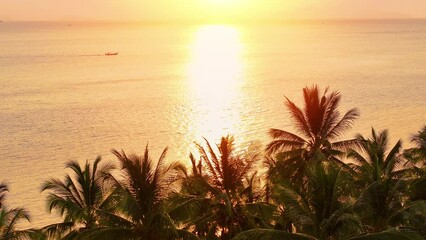 Wall Mural - Palm tree and tropical island beach. Pink sunset on the beach. 