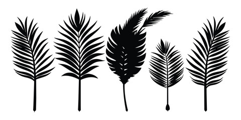 Wall Mural - Set of palm leaves and branches black on white background
