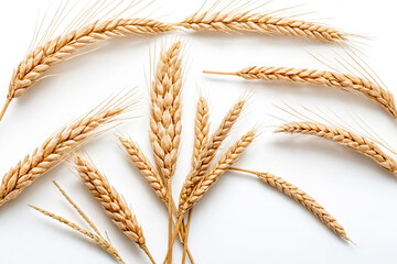 Sticker - Wheat Ears on White Background