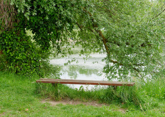 Wall Mural - a park bench on the bank of a pond, resting under the shade of a