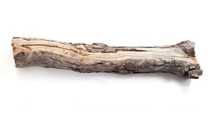 Wall Mural - wooden log isolated on a white background 
