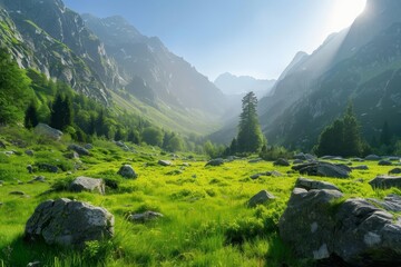 Canvas Print - serene alpine valley with lush meadow rocky boulders and clear sky panoramic landscape